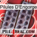 Engorge Pills 31